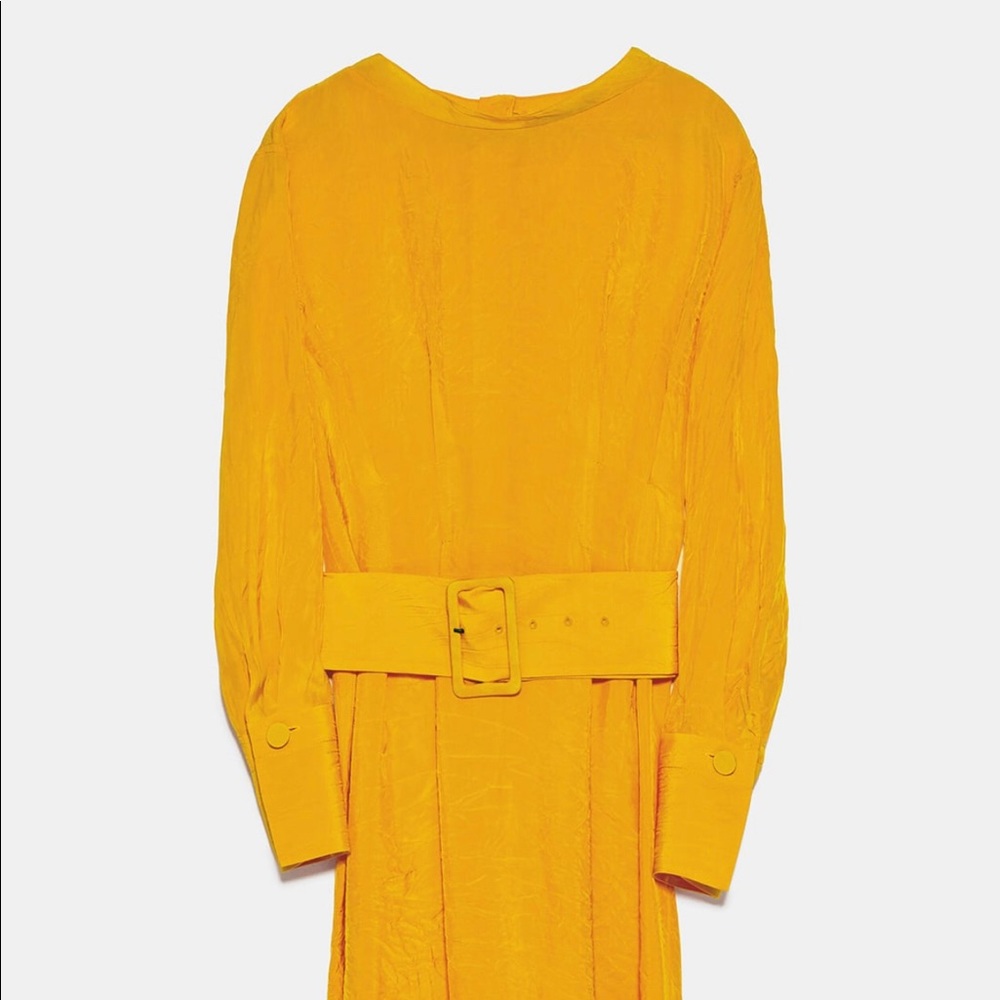 Zara Belted Midi Dress - Picture 7 of 7
